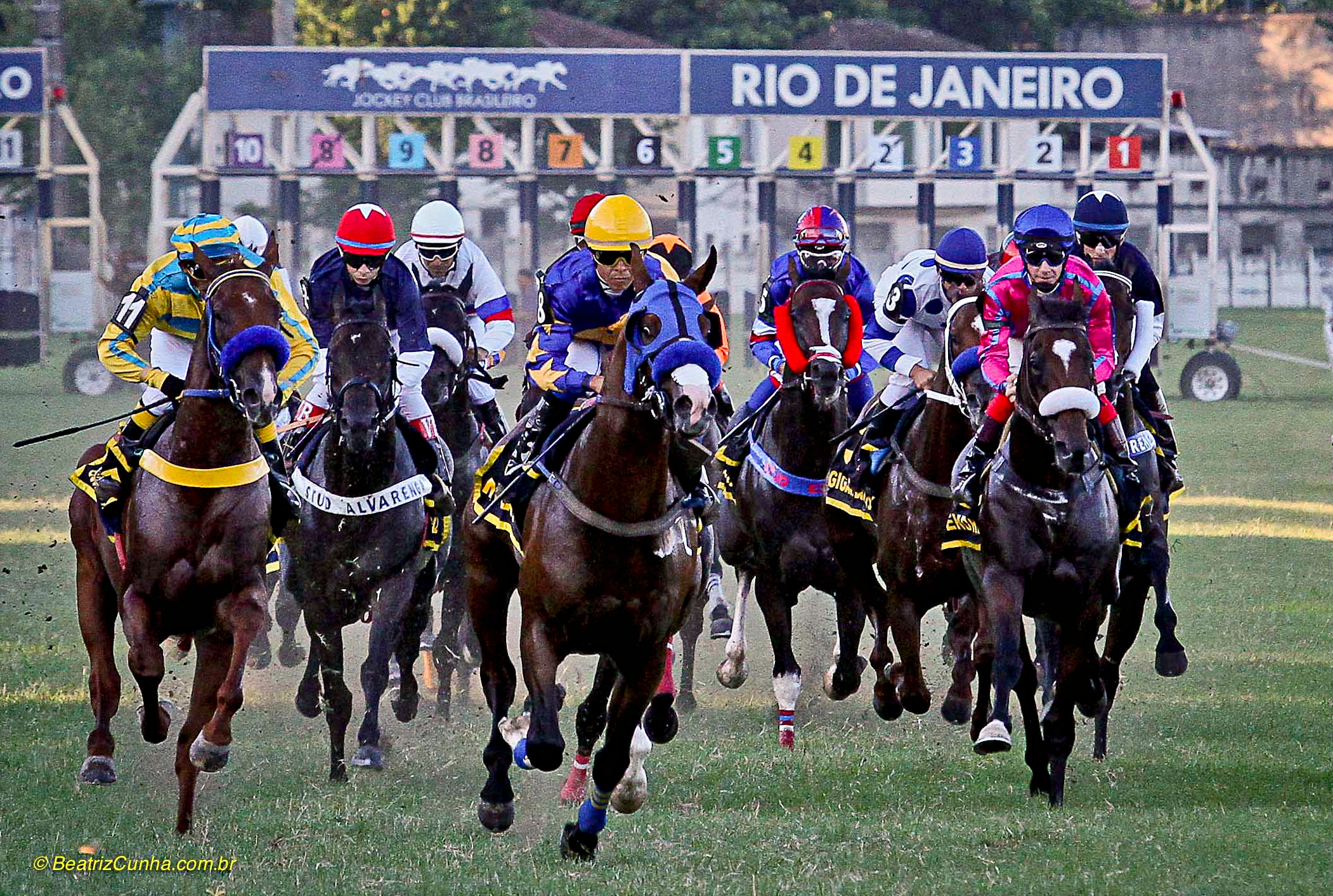 Hipismo. Esporte. Competição. Cavalo. Horse. Competition. Sport. Jockey. Corrida de cavalo.