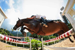 Hipismo. Esporte. Competição. Cavalo. Horse. Competition. Sport. Hípica.