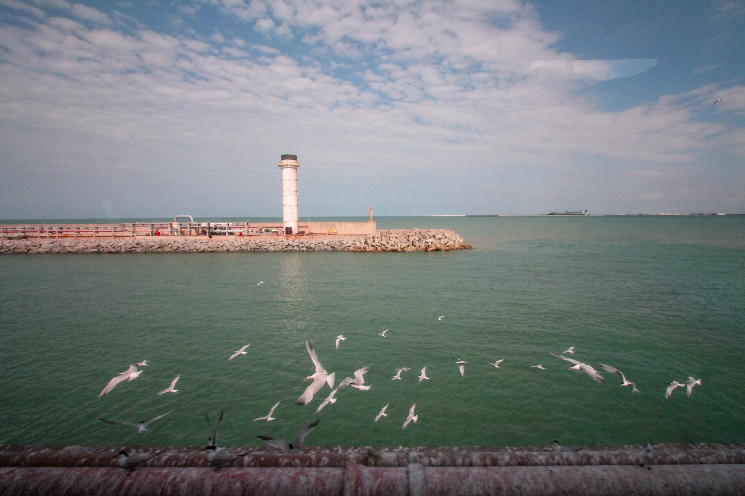 Paisagem. Ponto Turístico. Região Norte Fluminense. São João da Barra. Porto do Açú. Farol. Gaivotas.