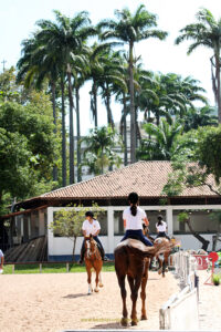 Hipismo. Esporte. Competição. Cavalo. Horse. Competition. Sport. Hípica.