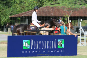Hipismo. Esporte. Competição. Cavalo. Horse. Competition. Sport. Hotel Portobello. Mangaratiba. Hípica.