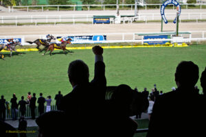 Hipismo. Esporte. Competição. Cavalo. Horse. Competition. Sport. Jockey. Corrida de cavalo.