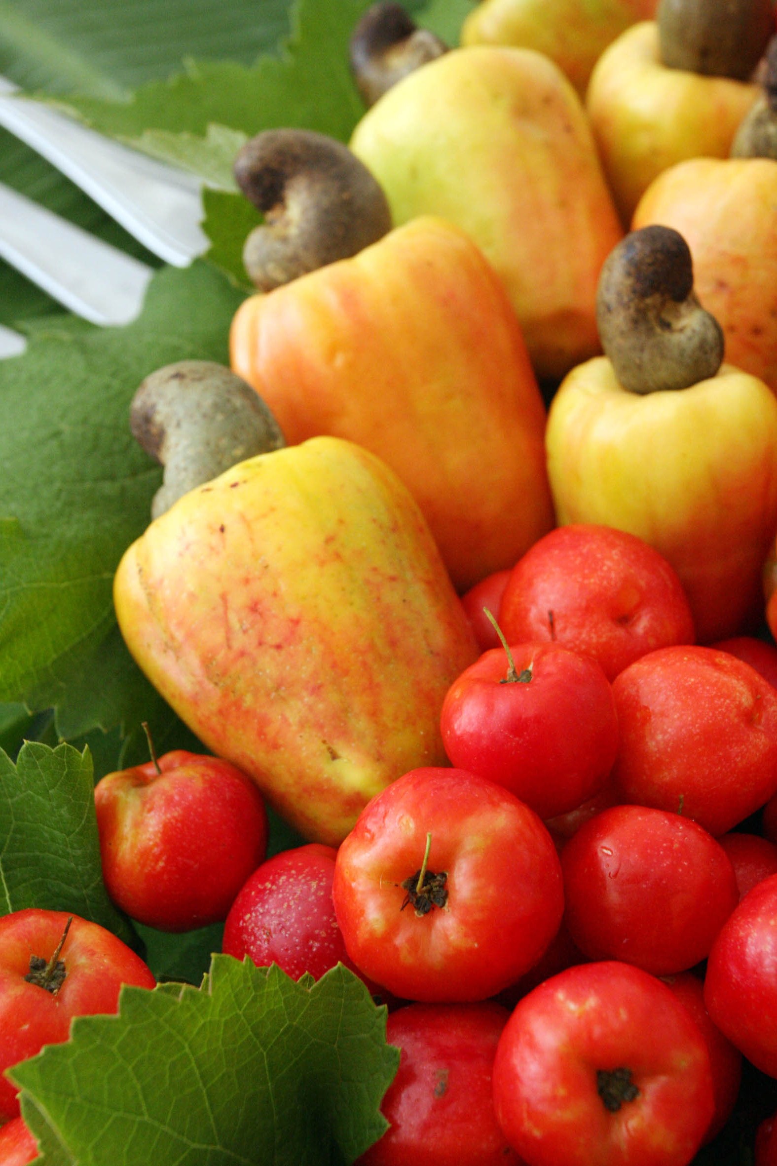 Gastronomia. Food. Sabor. Degustação. Fruta. Caju. Acorola.