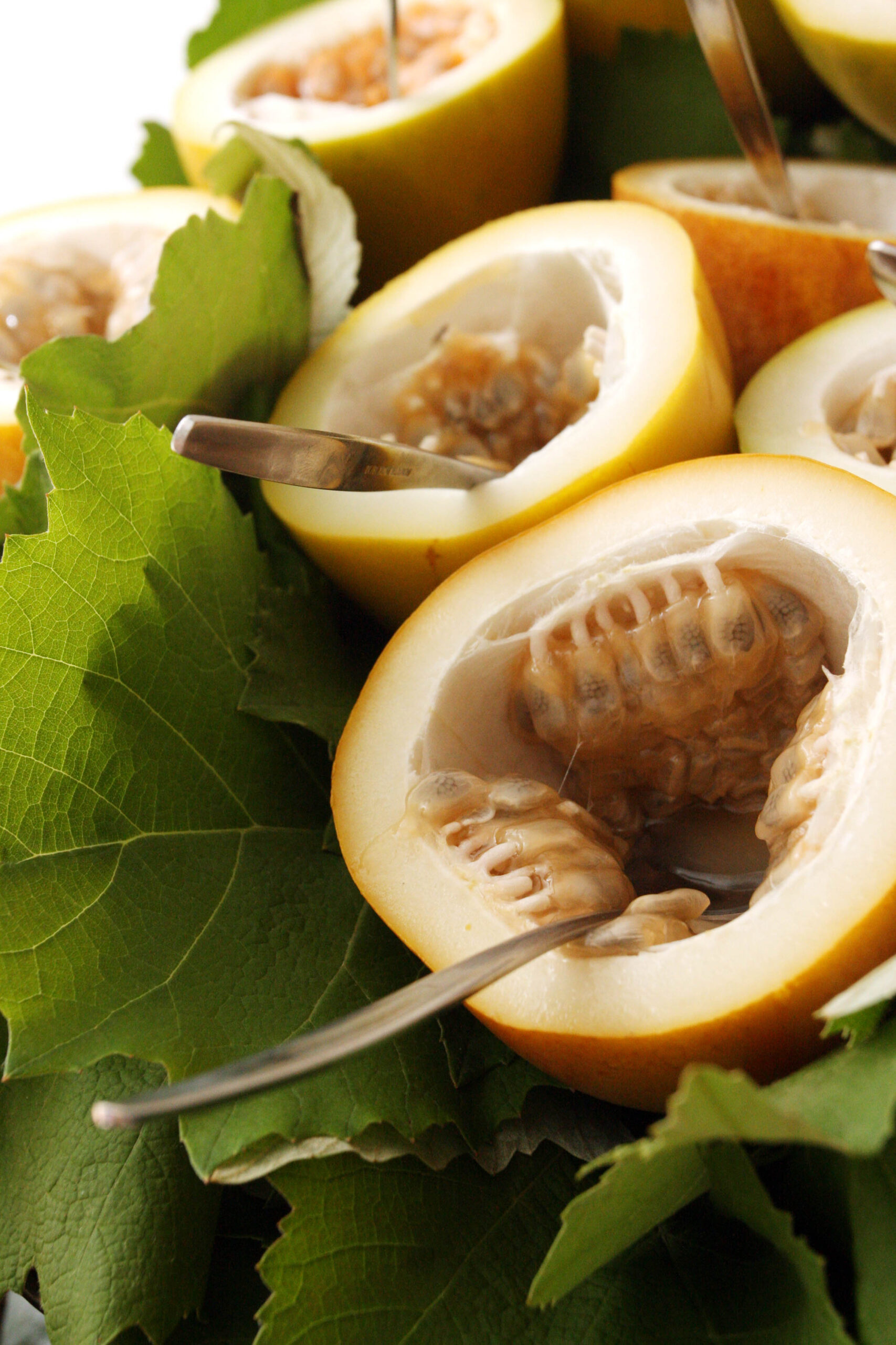Gastronomia. Food. Sabor. Degustação. Fruta. Maracujá.