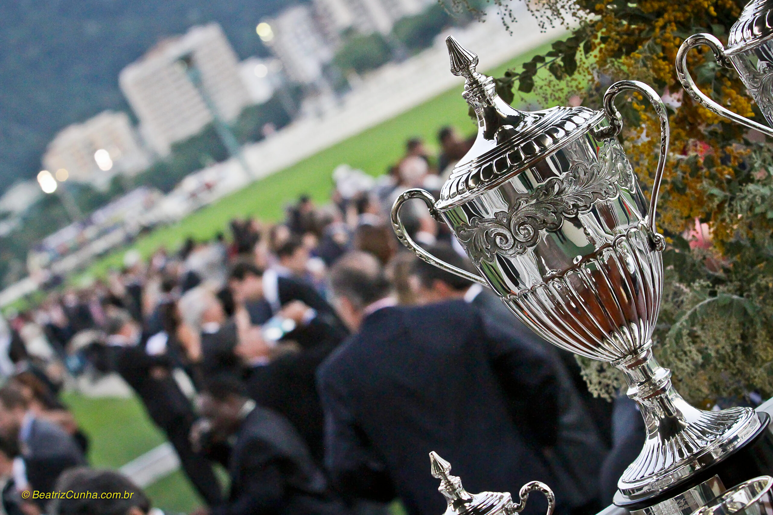 Hipismo. Esporte. Competição. Cavalo. Horse. Competition. Sport. Jockey. Corrida de cavalo. Troféu