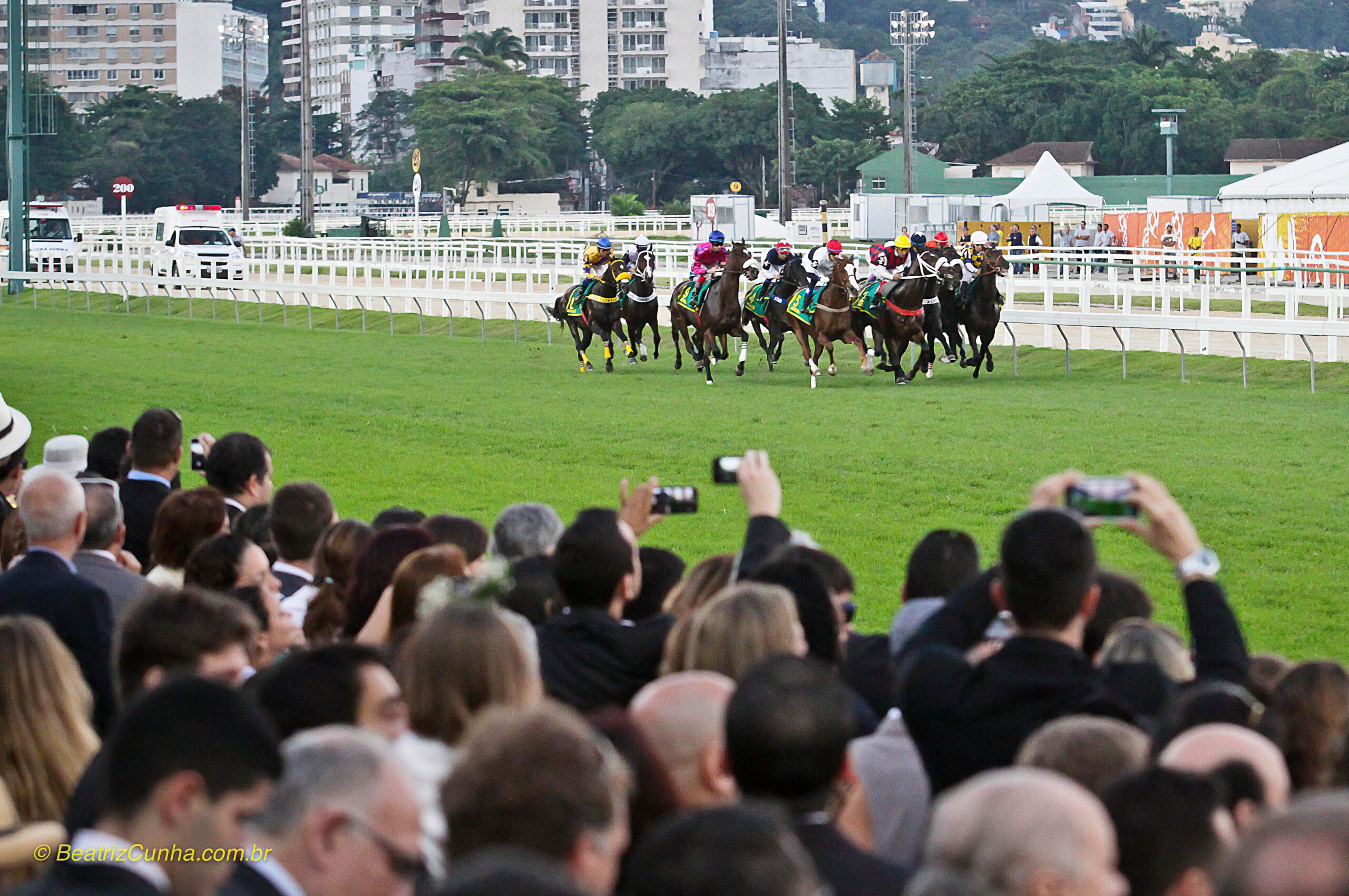 Hipismo. Esporte. Competição. Cavalo. Horse. Competition. Sport. Jockey. Corrida de cavalo.